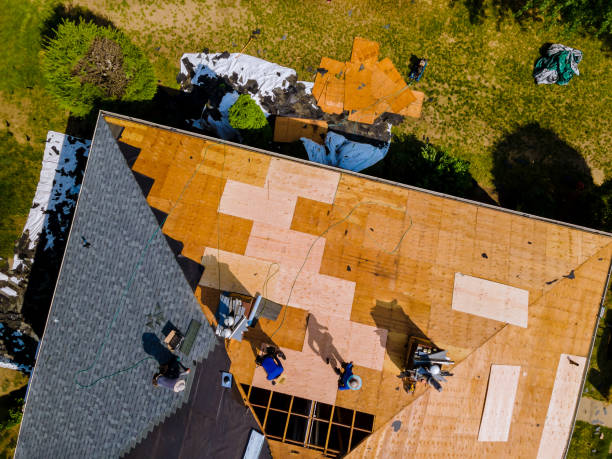 Quick and Trustworthy Emergency Roof Repair Services in Stonewall, MS